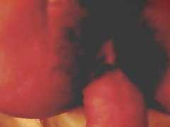 Taiwaneză printesa strâmt păsărică păros